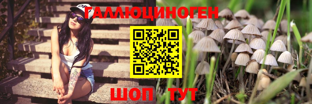 Дальнереченск  Псилоцибиновые грибы GOLDEN TEACHER  Псилоцибиновые грибы мухоморы  Вход с VPN 